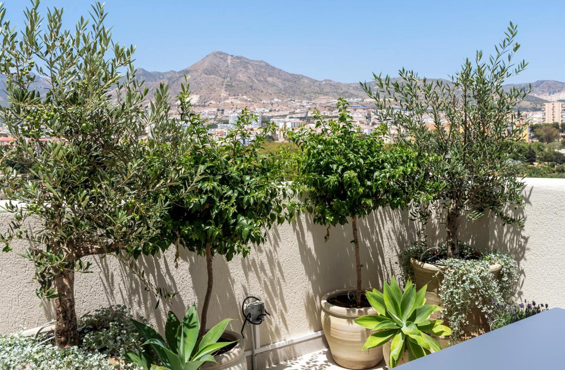 Appartement Sunny Penthouse With Amazing Pool By Costarentals - Ref 214 *